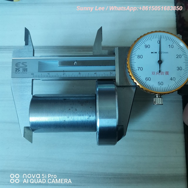 Vakuumkupplungslager (S420 6004 2RS-Lager)